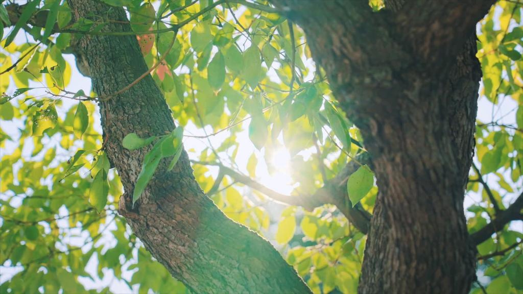 w88win优德(中国区)唯一官方网站