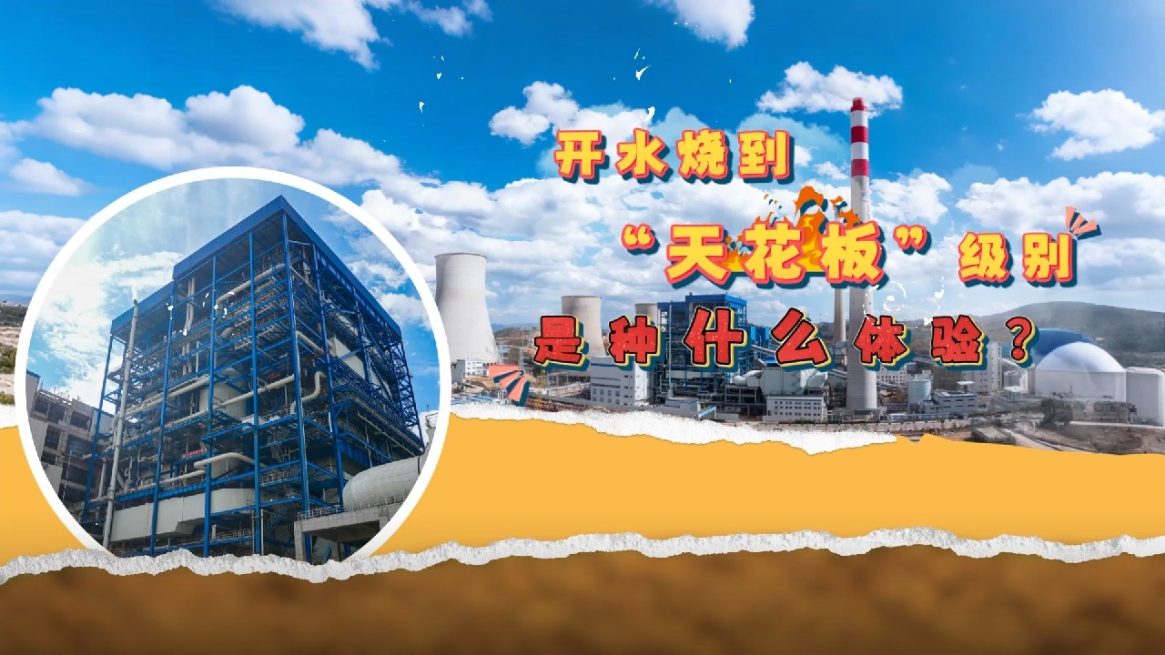 w88win优德(中国区)唯一官方网站